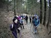 IMG221106-101855F nel bosco