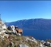 IMG-20221120-WA0028