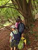 014 nel bosco