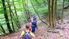 016gg NEL BOSCO