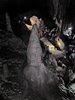 015 stalagmite