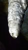 046 stalactite