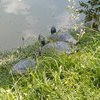 IMG_6386b