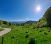 IMG-20250430-WA0030