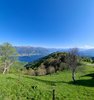 IMG-20250430-WA0032