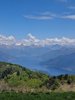 IMG-20250430-WA0007