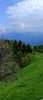 IMG-20250515-WA0011