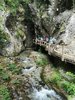 016gg PASSERELLA