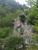 O88gg ARRAMPICATA