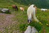 IMG-20250722-WA0007