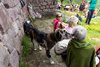 IMG-20250722-WA0009