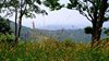 035gg PANORAMA