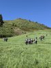 IMG_9917