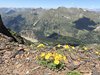 048gg PANORAMA