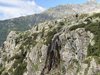 001gg CASCATA