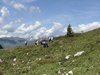010gg PASSO EZENDOLA