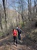 IMG_8228