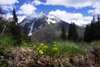 3602c126-53fc-4bb5-8b02-4d39f413272e