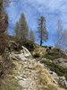 IMG_9148