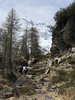IMG_9146