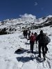 IMG_9319