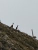 IMG-20260917-WA0036