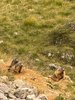 IMG-20260917-WA0043