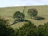 033 panorama