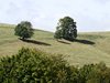 034 panorama