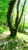 047gg ARRAMPICATORE IN RELAX