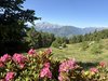 007gg PANORAMA