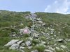 021gg SELLA TRA PIZ OLDA E PIAN DELLA REGINA