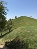 IMG_9717