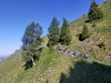 008mb TUTTI IN FILA