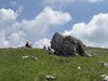 040gg PAUSA PRANZO AL PASSO