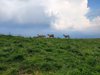 015mb INCONTRI MONTE MIGNONE