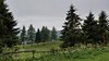 IMG-20260715-WA0013